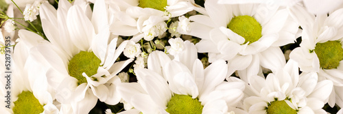 Bouquet of white chamomile chrysanthemums closeup background banner with copy space. Wide panoramic header. Gift flowers basket for the holiday