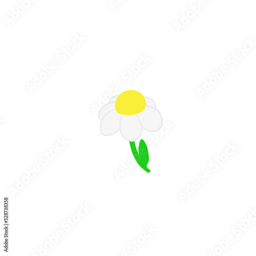 Vector image of a chamomile flower color image