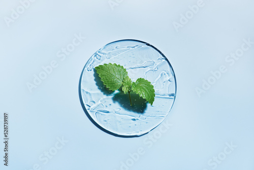 Sample of gels cosmetic product and green leaf in petri dish on blue background, hard shadows. Abstract science, medicine and beauty concept