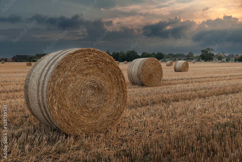 Straw bales in a field at sunset