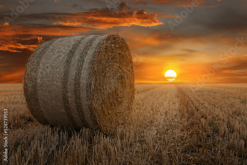 Straw bales in a field at sunset photo