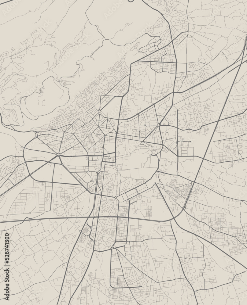 Vector map of Damascus, Syria. Urban city in Syria. road map art poster illustration.