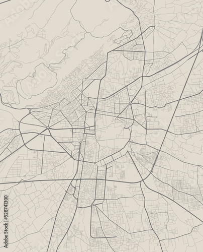 Vector map of Damascus, Syria. Urban city in Syria. road map art poster illustration. photo