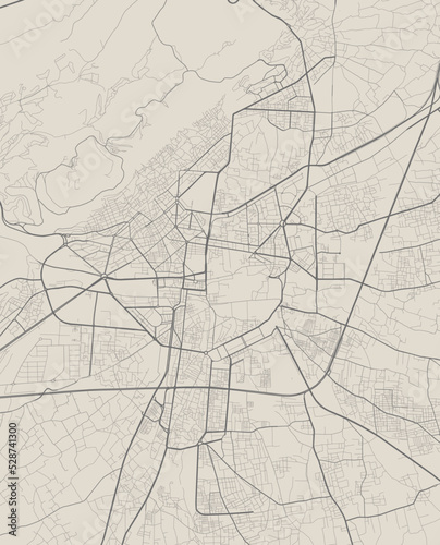 Vector map of Damascus, Syria. Urban city in Syria. road map art poster illustration.