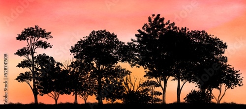 silhouette of a tree,forest on sunset background ,vanilla sky 
