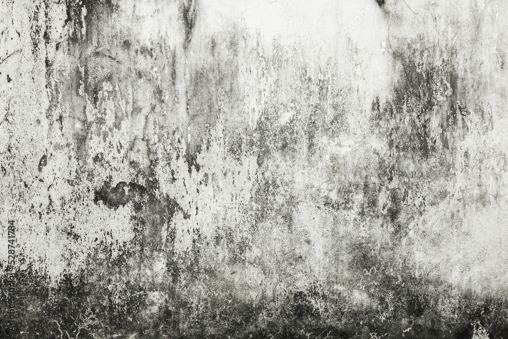 Obraz premium Mold buildup on the wall texture