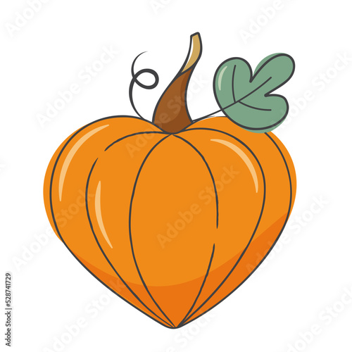 Heart shaped pumpkin. Halloween pictures. Autumn vegetable. Vector image on a white background