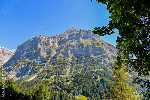 Grindelwald, Schreckhorn, Pfingstegg, Mettenberg, Unterer Grindelwaldgletscher, Alpen, Berner Oberland, Wanderweg, Bergwiesen, Landwirtschaft, Bergdorf,  Sommer, Schweiz photo