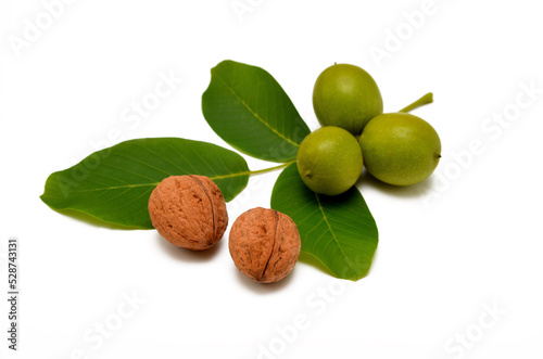 ripe and green walnuts with leaves isolated on white background