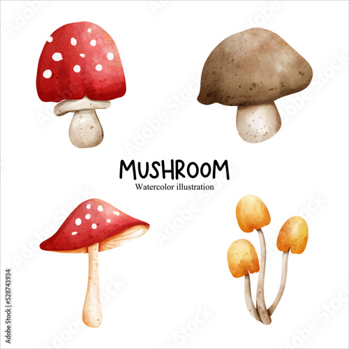Watercolor mushroom, vegetables vector illustration