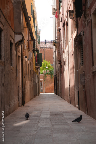 Zwei Tauben in einer Gasse in Venedig