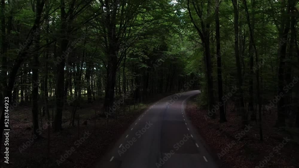 Driving through forest, drone through forest, moving along a road through an ancient Swedish forest.