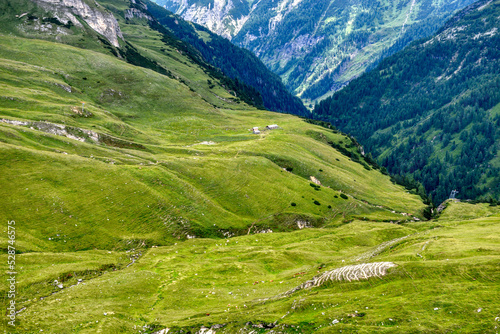 Alm, Almwiese, Hohe Tauern, Hütte, Stall, Wiese, Grün, saftig, Sommer, Herbst, Tauern, Nationalpark, Schwarzkopf, Großglockner, Glocknergruppe, Hochalpenstraße, Zentralalpen, Alpenhauptkamm, Hochgebir