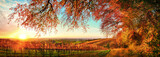 Landschaft aus Weinbergen im Herbst, Panorama bei Sonnenuntergang, umrahmt mit roten Ästen von einem großen Baum