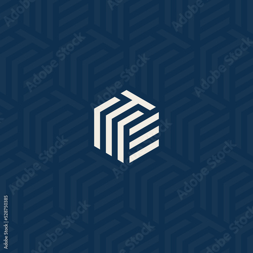 TME or MTE logo with background pattern design