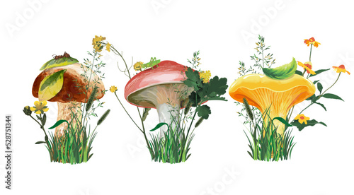 Set of realistic mushrooms