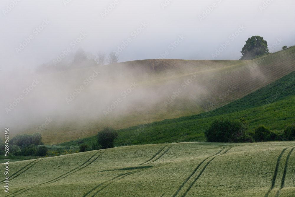 Foggy fields at Turcianske Jaseno village, Slovakia. Foggy fields at Turcianske Jaseno village, Slovakia.