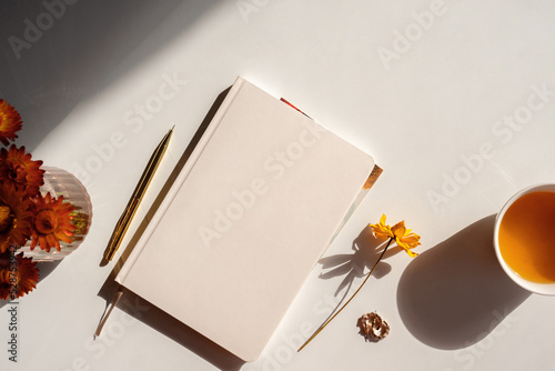 Styled notebook or journal flat lay with copy space, fall theme, contrast light photo
