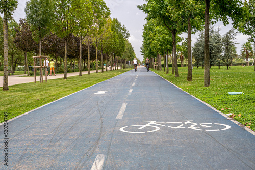 Bike path in the park. A symbol of cycle and attention paths on the pavement