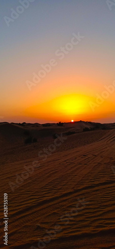 Desert sunset