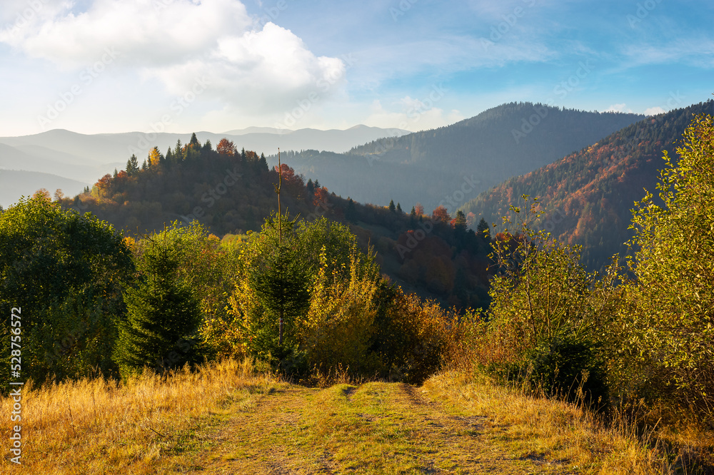 Obraz premium mountainous countryside in autumn. forest in colorful foliage on the hills. mountain range in the distance beneath a sky with beautiful cloudscape. wonderful nature landscape in afternoon light