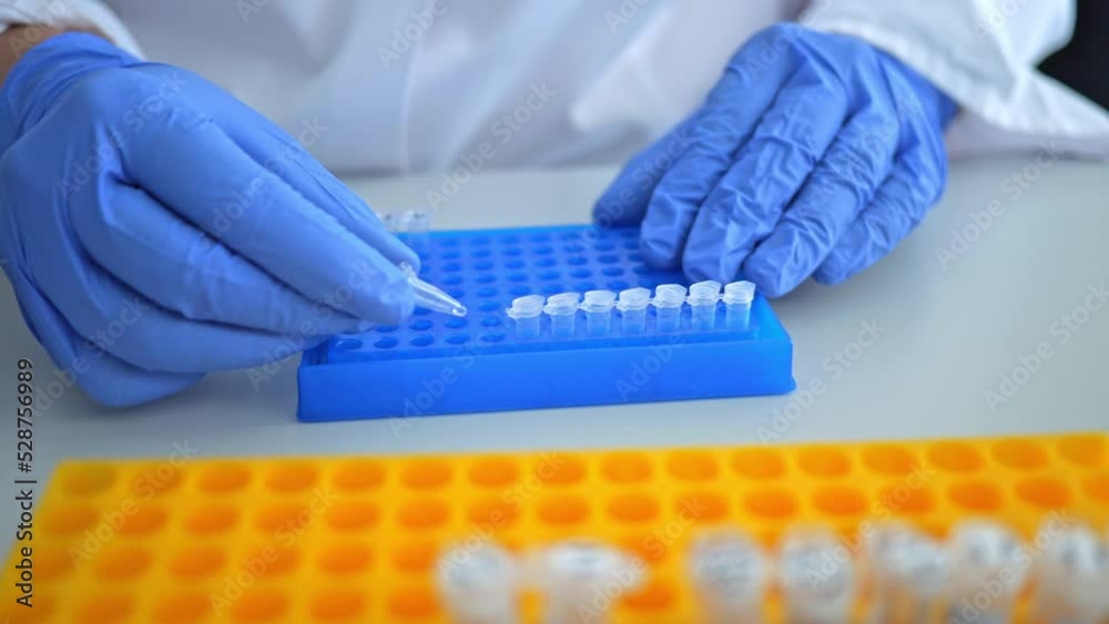 Laboratory scientist working at lab diagnostics test tubes. Laboratory concept woman technician chemist. Medical diagnostics, research and science background. Laboratory scientist working at lab diagnostics test tubes. Laboratory concept woman technician chemist. Medical diagnostics, research and science background.