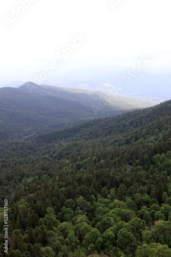 View of mountains from Lago-Naki plateau in summer © Arkady Chubykin