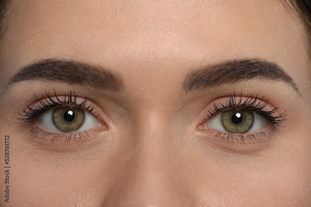 Young woman with permanent eyebrow makeup, closeup Young woman with permanent eyebrow makeup, closeup