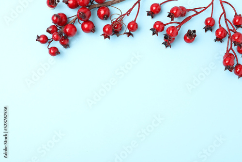 Winter composition with decorative branches on light blue background, flat lay. Space for text