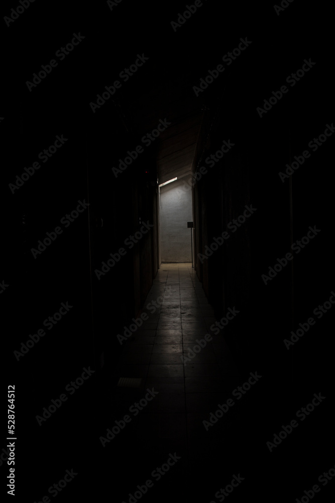 Fototapeta premium light in the dark