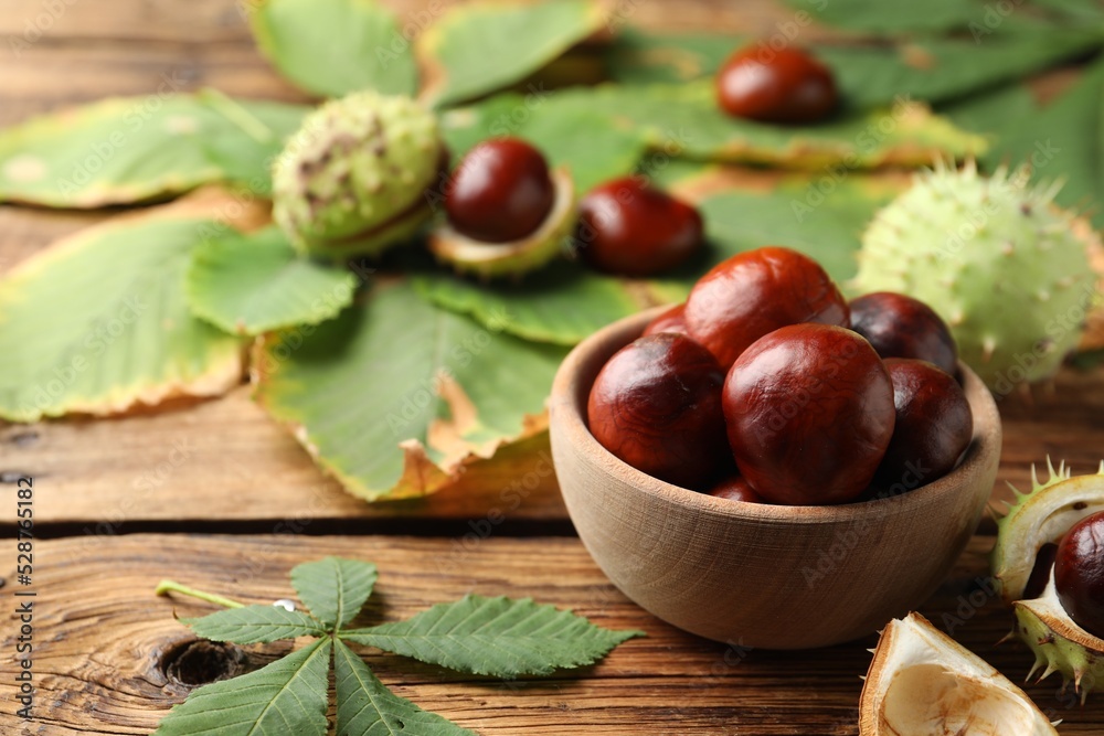 Horse chestnuts and leaves on wooden table Horse chestnuts and leaves on wooden table