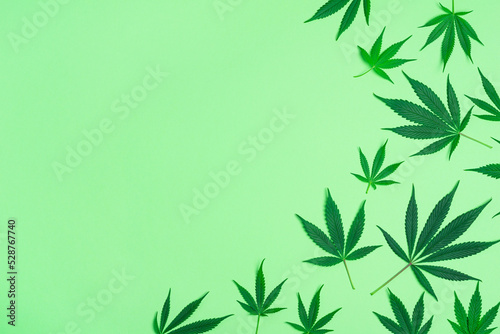 Collage of Marijuana or Cannabis Leaves From Indica and Sativa Plants on Minimalist Green Background with Copy Space