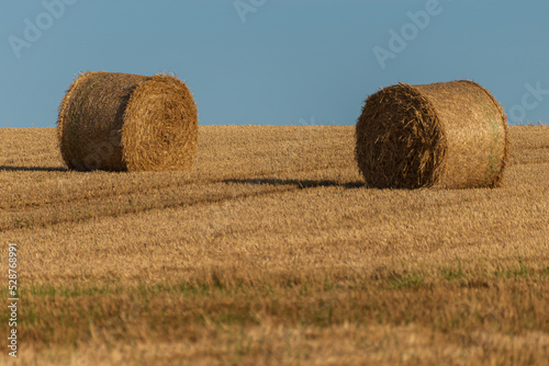 View of the hay bales, Old Head of Kinsale Cliff Walk