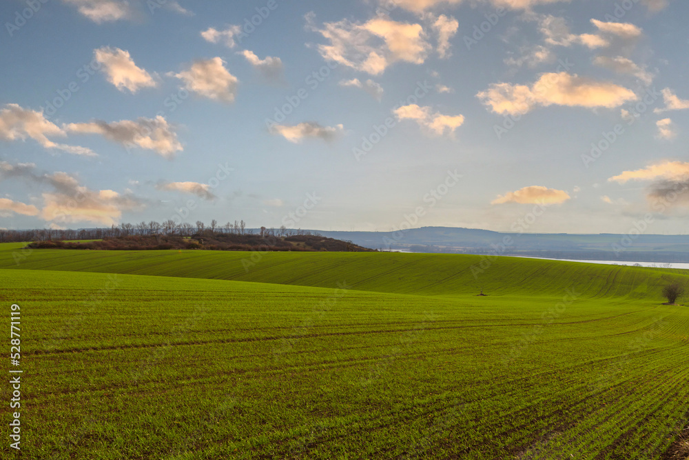 Beautiful landscape below the Palava region in the Czech Republic in Europe. In the background is a nice sky at sunset.
