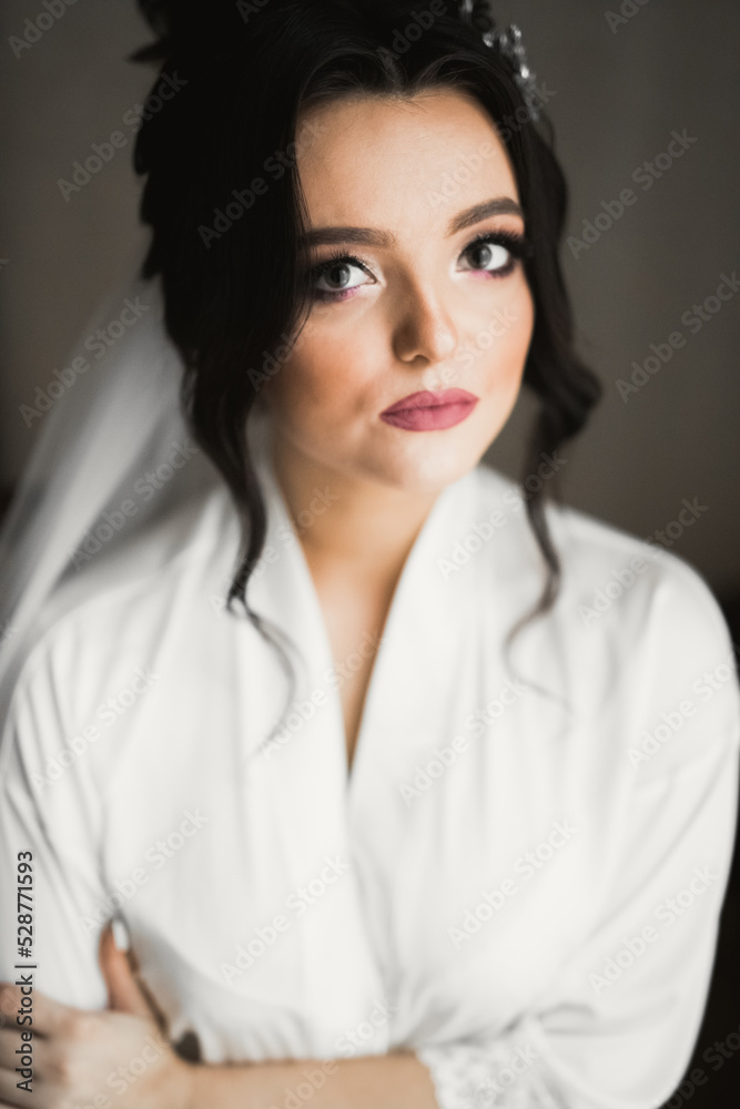 Beautiful bride wearing fashion wedding dress with feathers with luxury delight make-up and hairstyle, studio indoor photo shoot Beautiful bride wearing fashion wedding dress with feathers with luxury delight make-up and hairstyle, studio indoor photo shoot