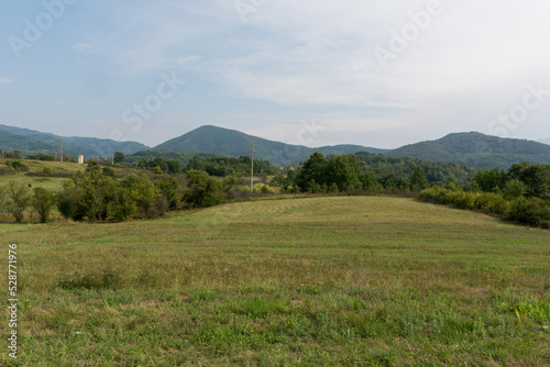 Landscape with meadows and trees on a summer day in Malo Bonjince country, Serbia. Natural background concep © Emilija