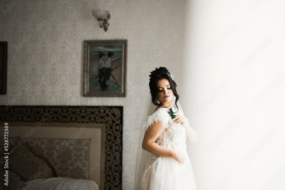 Gorgeous bride in robe posing and preparing for the wedding ceremony face in a room Gorgeous bride in robe posing and preparing for the wedding ceremony face in a room