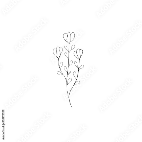 Flower One Line Drawing. Floral Minimalistic Style. Botanical Print. Nature S...