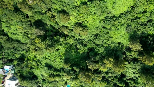 Drone ascent along the mountains overgrown with shrubs and eucalyptus trees in the vicinity of Batu mi. Tea plantations are visible.
 photo