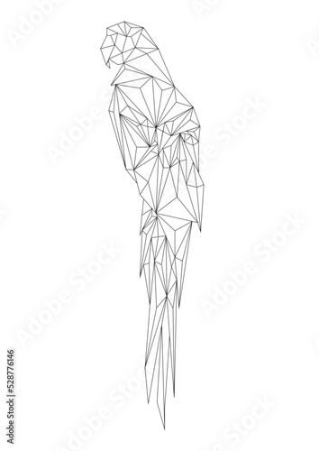 hand drawn sketch of a parrot