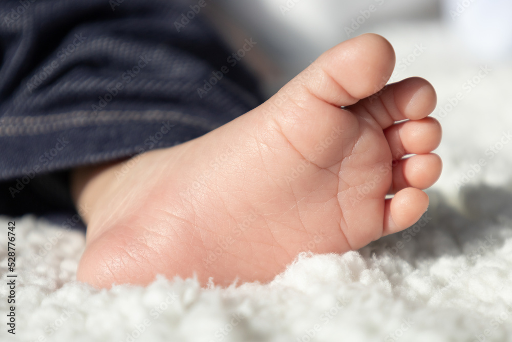 sole of a baby's foot in studio, details of the skin, fingers of a new member of the family, parts of the body, concept of innocence and childhood sole of a baby's foot in studio, details of the skin, fingers of a new member of the family, parts of the body, concept of innocence and childhood