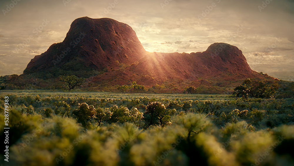 Wild Nature of Australia Landscape at Sunset Scenery Art Illustration