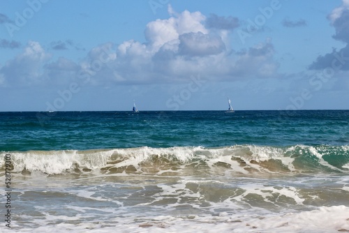 waves on the beach © Julia Kostina 