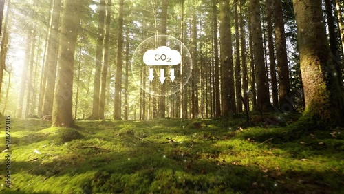 Carbon dioxide icon inside sunny green forest. Concept ecology video. photo