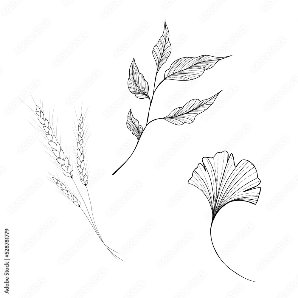 Set of plants freehand illustration Set of plants freehand illustration