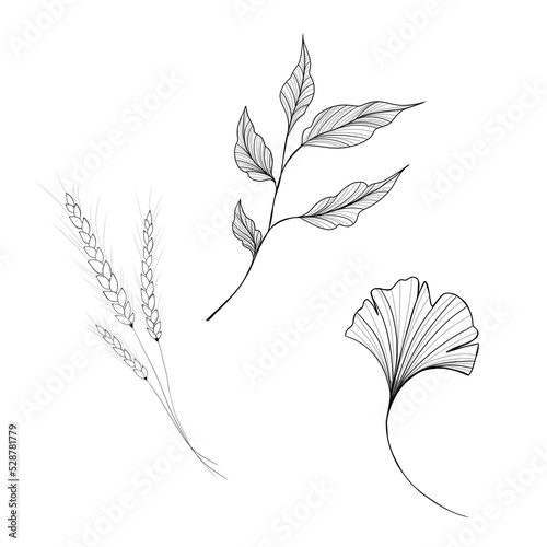 Set of plants freehand illustration