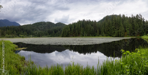 Fototapeta Naklejka Na Ścianę i Meble -  Panoramic View of a lake in Canadian Nature Landscape. Minnekhada Regional Park, Coquitlam, Vancouver, British Columbia, Canada. Background Panorama