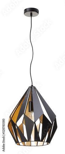 Obraz na plátně ceiling lamp cut out transparent background