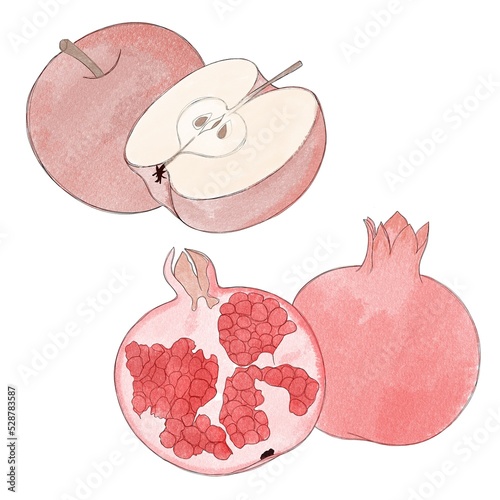 watercolor fruit set - apple and pomegranate free hand illustration
