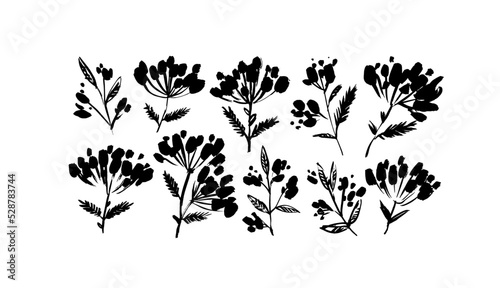Set of rowan berry branches. Hand drawn vector ink illustrations isolated on white background. Botanical black silhouettes. Christmas branches, winter or autumn berry twigs. Brush strokes style.